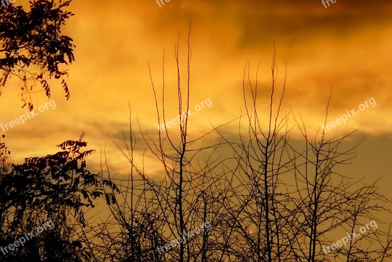 Sunset Clouds Storm Branches Shadow