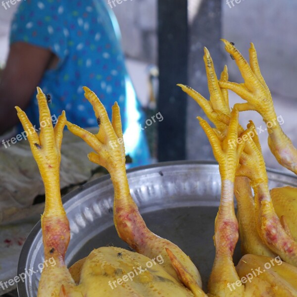 Chicken Claw Chicken Boiling Fowl Claw Horror