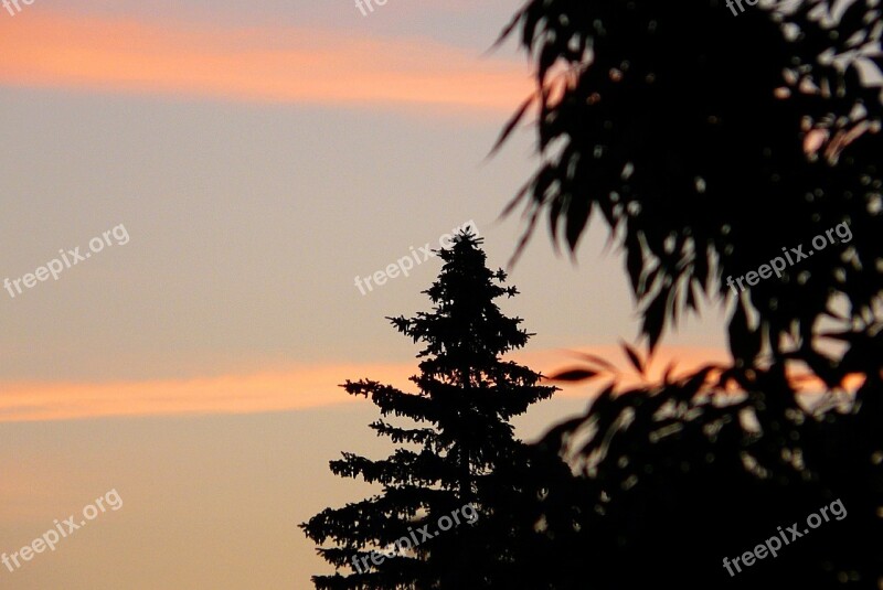 Sunrise Dawn Sky Clouds Tree