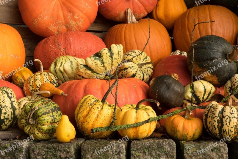 Pumpkins Autumn Orange Yellow Gourd