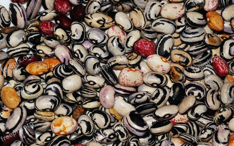 Beans Vegetables Legumes Seed Close Up