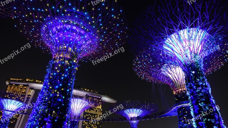 Garden By The Bay Singapore Night Lighting Landmark