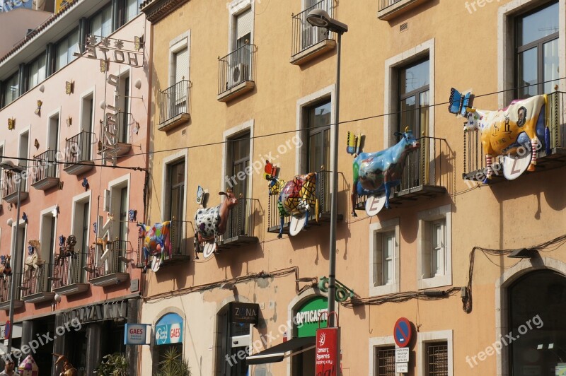 Balcony Building Cows Spain Architecture