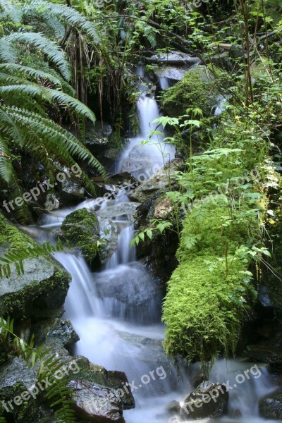 Nature Waterfall Outdoor Forest Stream