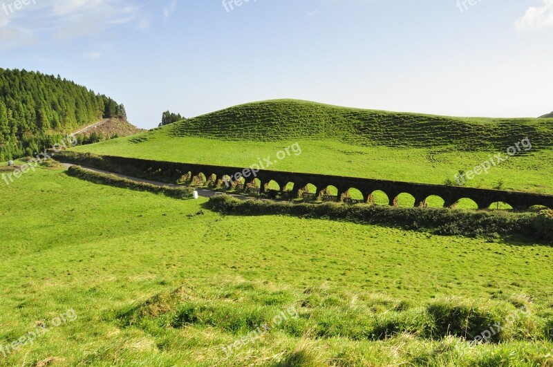 Azores Island Green Pasture Landscape