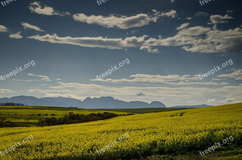 Meadows Pasture Grass Fields Sky