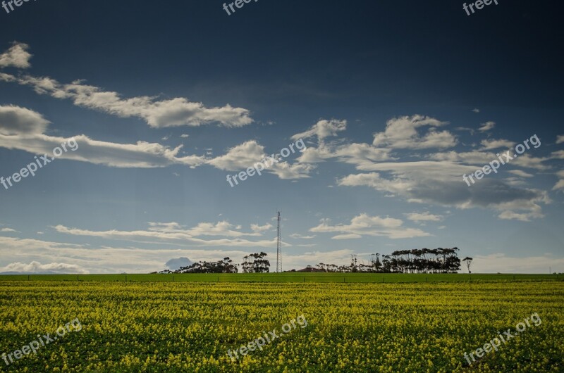 Meadows Pasture Grass Fields Sky