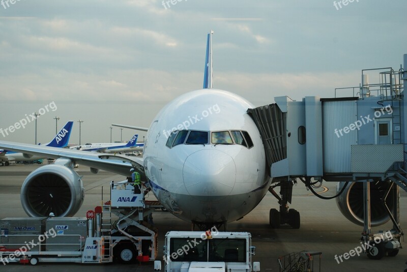 Airplane Haneda Evening Aso Kumamoto