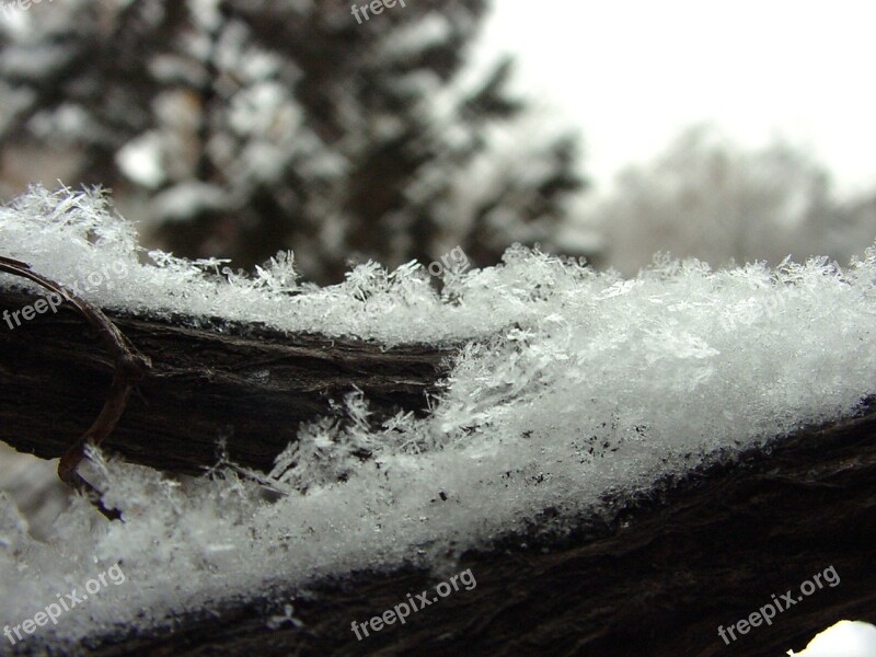 Snow Snowflakes Winter Cold Frost