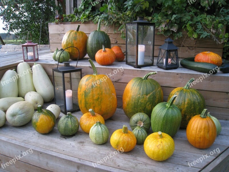 Pumpkins Arrangement Colors Autumn Lamps