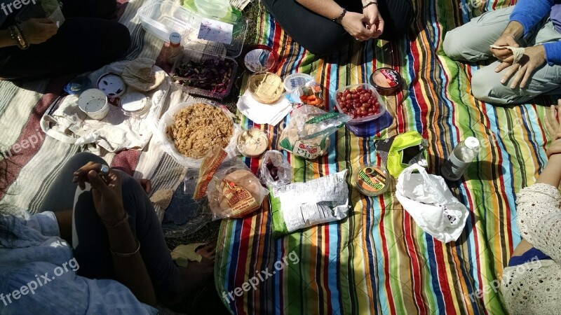 Picnic Summer Outdoors Park Fun