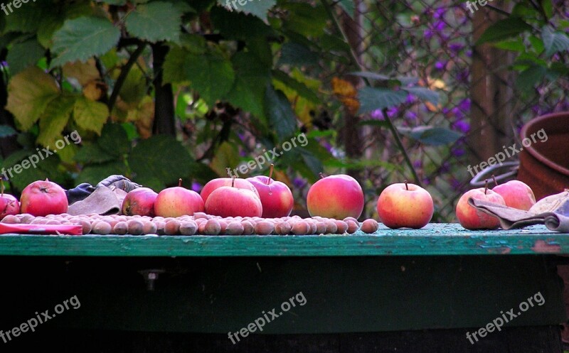 Apples Autumn Fruit Hazelnuts Free Photos