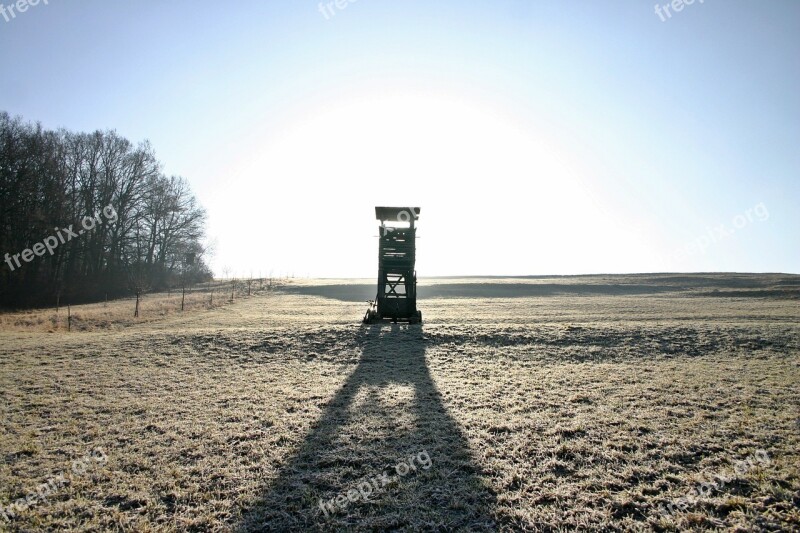 Perch Ansitz Forest Meadow Winter