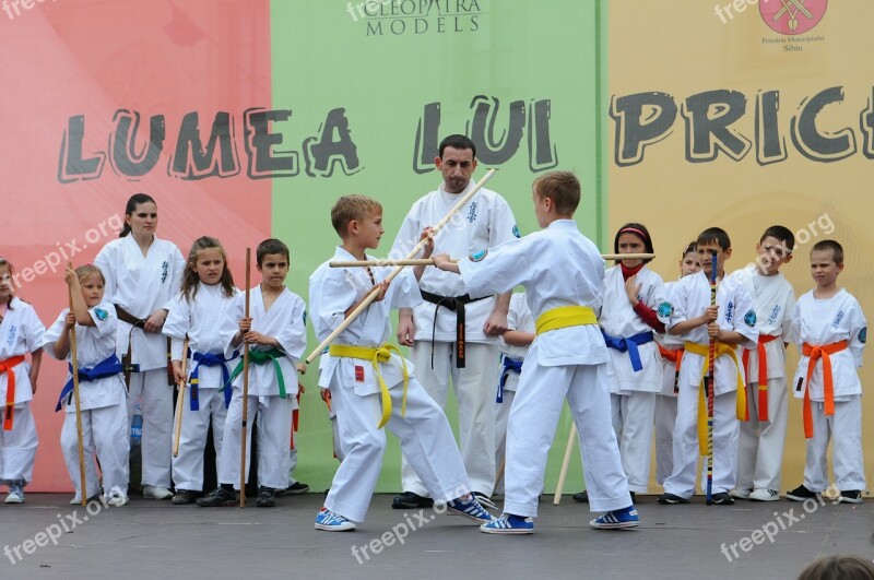 Karate Martial Arts Kids Stage Fight