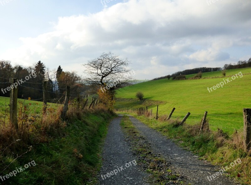 Road Landscape Tree Fence Nature