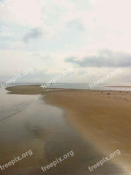 Beach Sun Solitary Walking Ocean