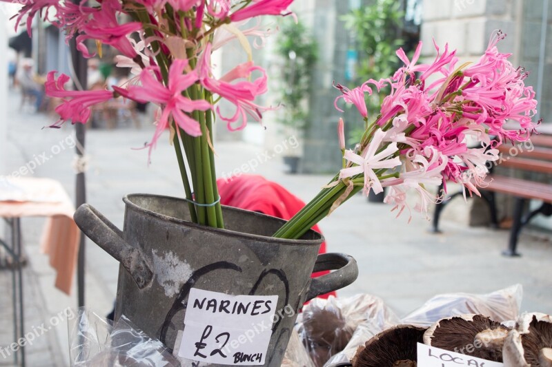 Nerines Market Flowers Stall Pink