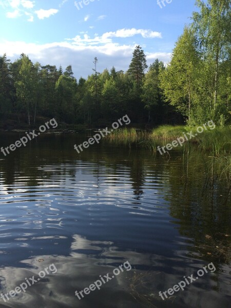 Lake The Nature Of The Norway Free Photos