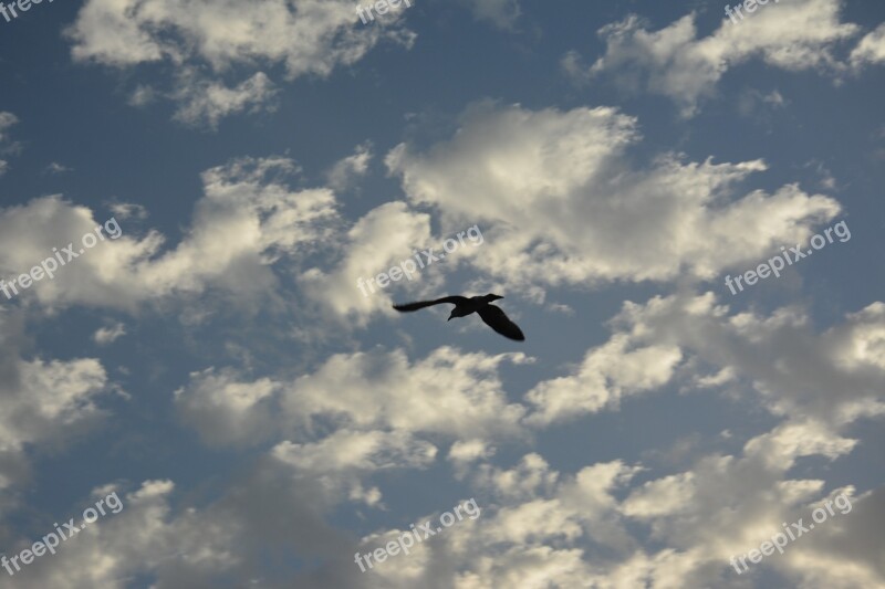 Heaven Sky Clouds Sun Nature