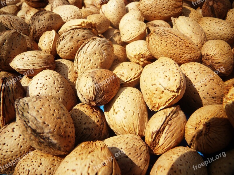 Almonds Fruit Mediterranean Tree Almond Tree