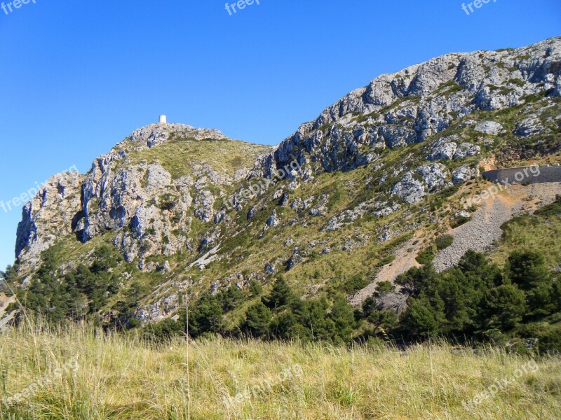 Majorca Hill Mountain Tree Forest