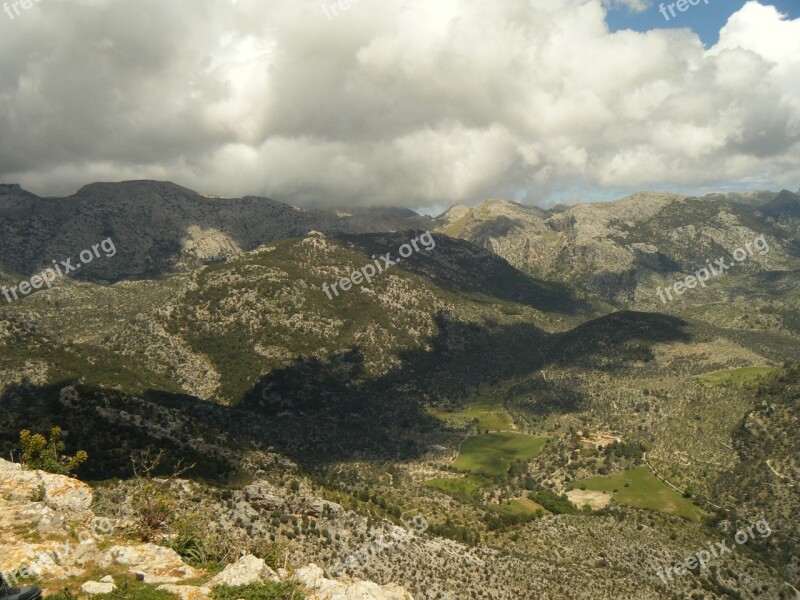 Majorca Hill Mountain Tree Forest