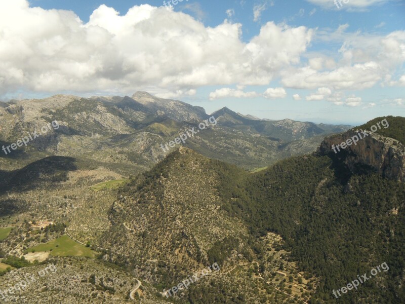 Majorca Hill Mountain Tree Forest