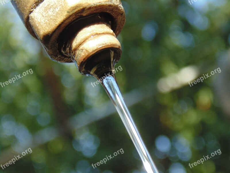 Water Tap Water Flowing Free Photos