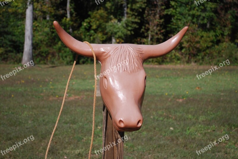 Horns Roping Ranch Cattle Game