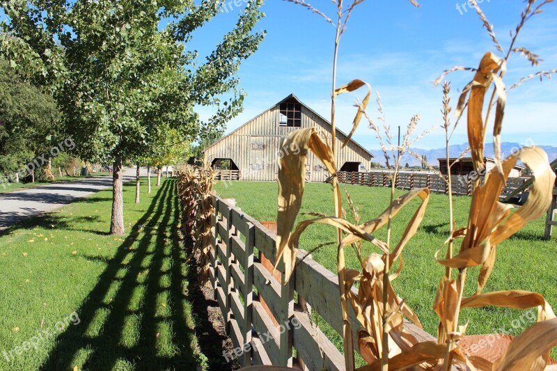 Fence Farm Country Rural Summer