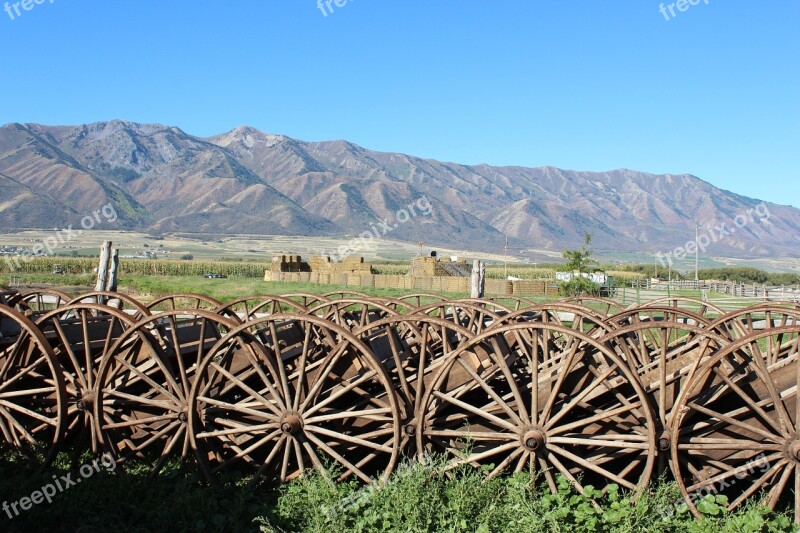 Wagon Wheel Farm Rustic Antique Vintage