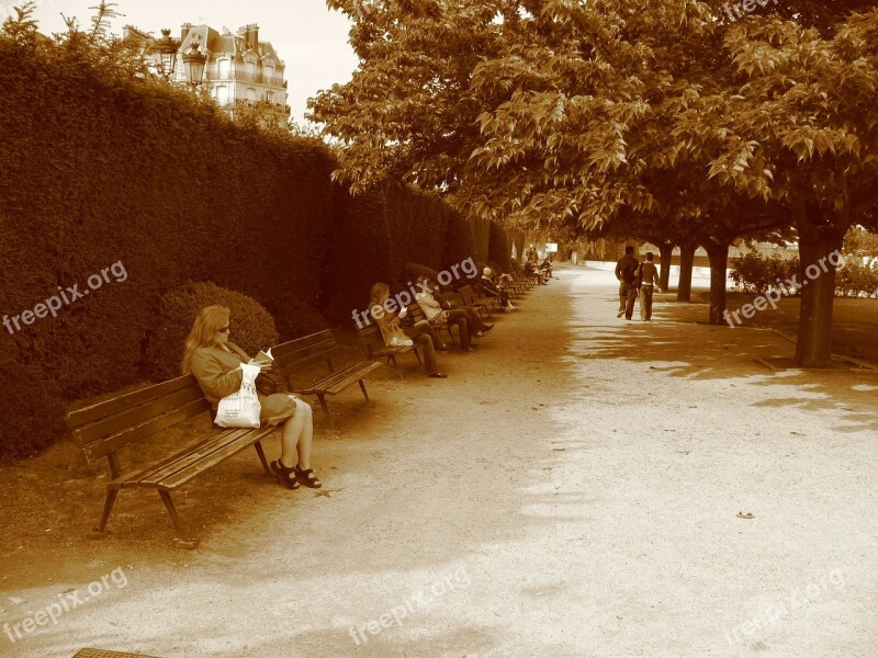 Park Bench Paris Woman Sitting