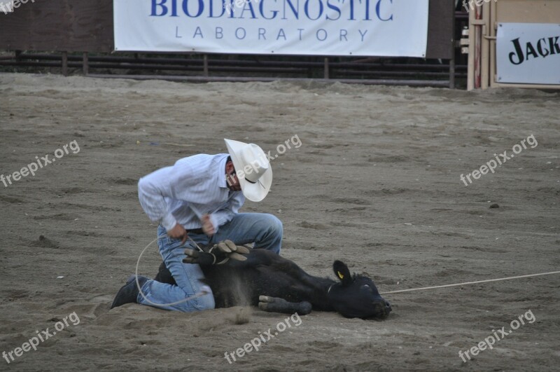 Rodeo Ranch Cowboy Free Photos