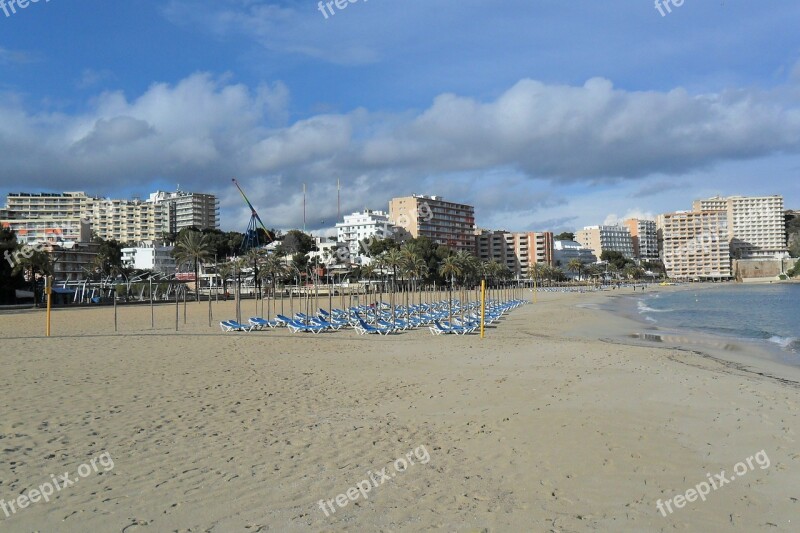 Majorca Palma Palm Trees Beach Sand