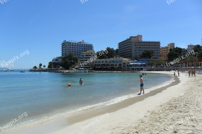 Majorca Palm Trees Palma Beach Sand