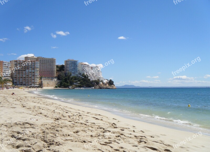 Palm Trees Palma Beach Sand Sea