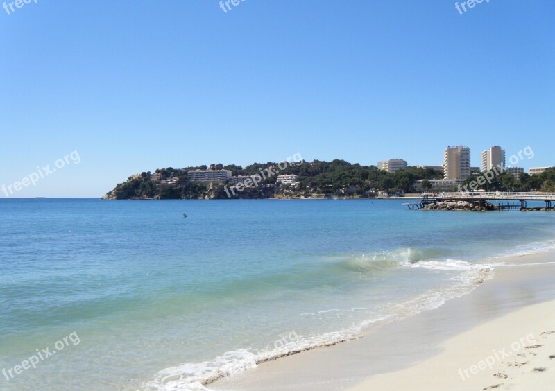 Palm Trees Palma Beach Sand Sea