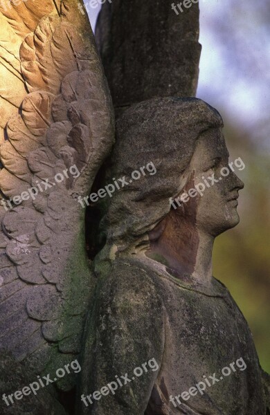 Cemetery All Souls' Day Statues Sculpture Graves