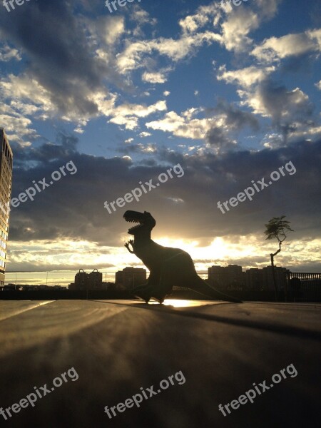 Dinosaur Sky Backlight Sunset Free Photos