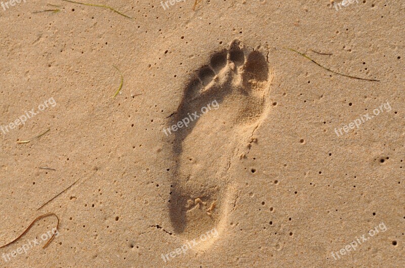 Footprint Sea Beach Sand Sand Beach