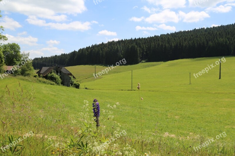 Black Forest Valley Landscape Forest Meadow