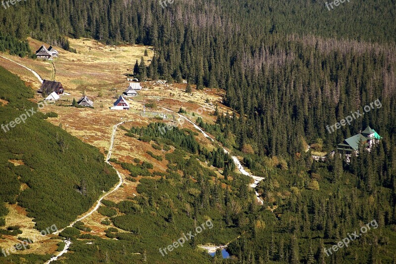 Gasienicowa Valley Tatry The National Park Mountain Pine Tree