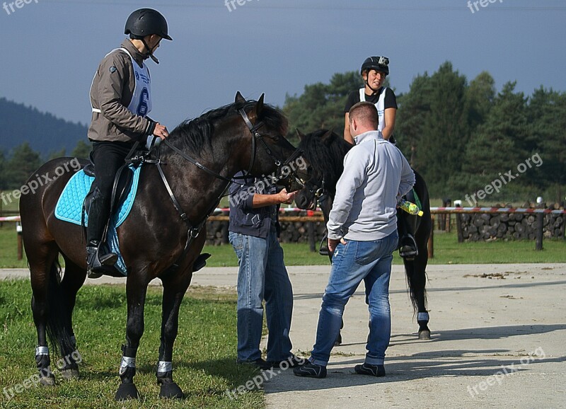 Conversation Meeting Games Riding Horses