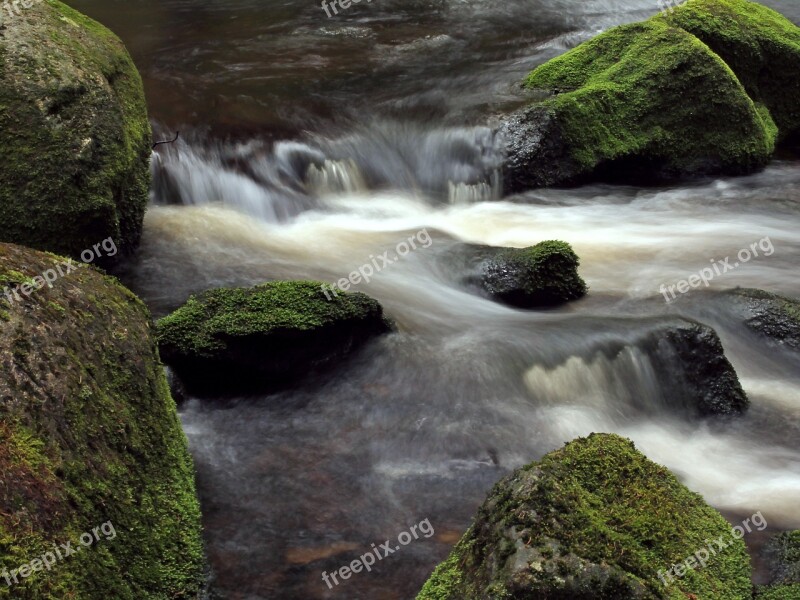 River Moss Stones Free Photos