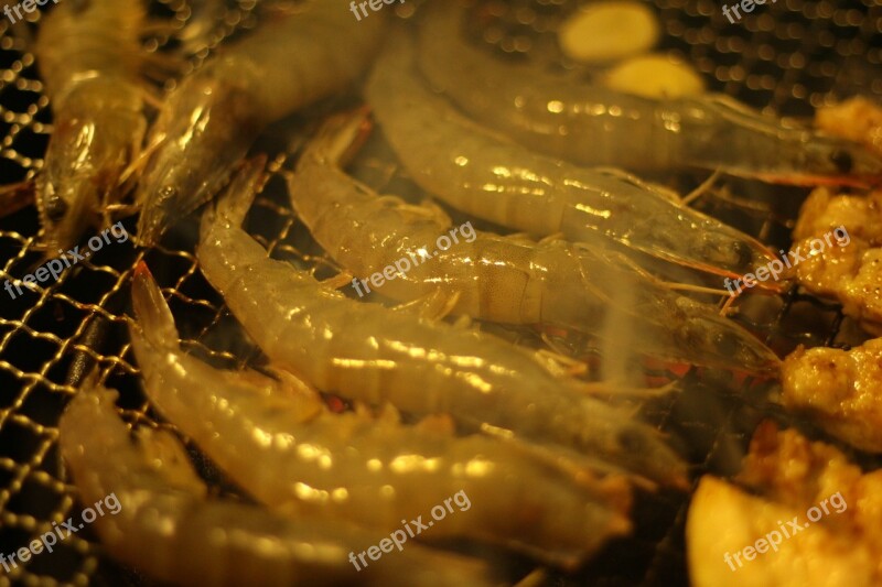 Shrimp Chronicles Food Cooking Free Photos