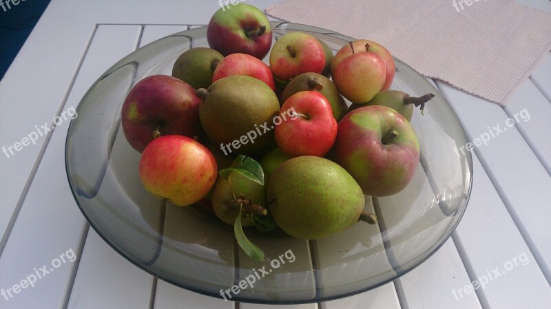 Apples Pear Medelpadsgatan Free Photos