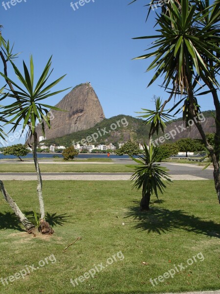 Sugar Loaf Pão De Açúcar Flamengo Rio De Janeiro Brazil Free Photos