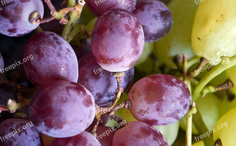 Grapes Bunch Food Fruit Ripe