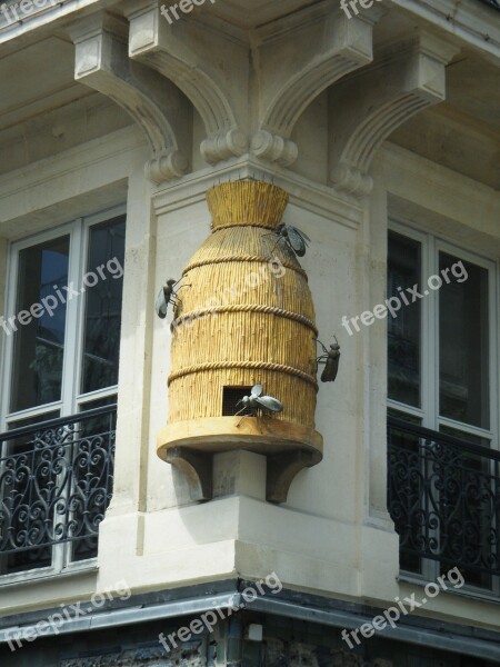 Bees Honey Beekeeping Building Kamienica