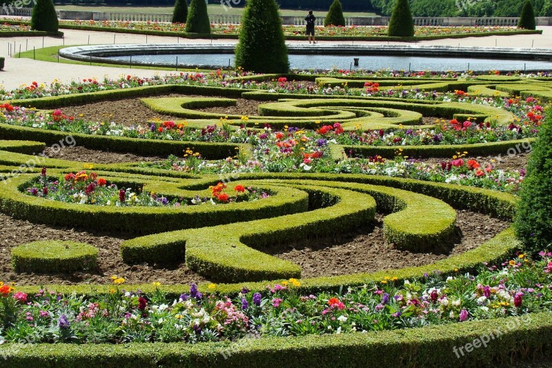 Versailles Garden Flowers Hedge Cis